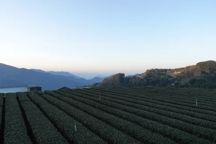 民宿設備有點可惜，CP值不高，但風景很好