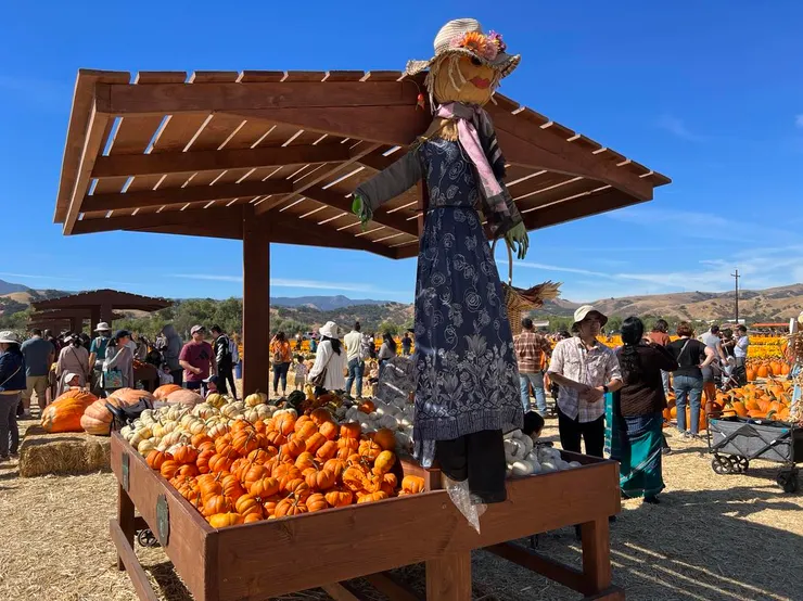 園區內有許多這樣的南瓜攤