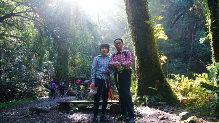 巨木群環狀步道起點