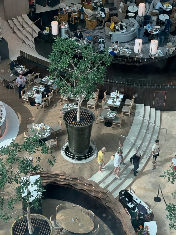 還沒有過在植物園裡的用餐體驗