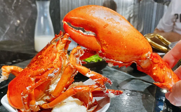 【武鶴和牛火鍋-吉林總店】A5和牛吃到飽、鱈場蟹腳吃到飽,送波士頓龍蝦│台北火鍋吃到飽推薦