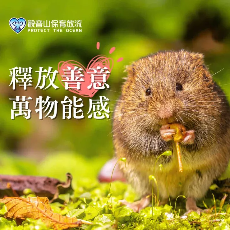 釋放善意 萬物有感