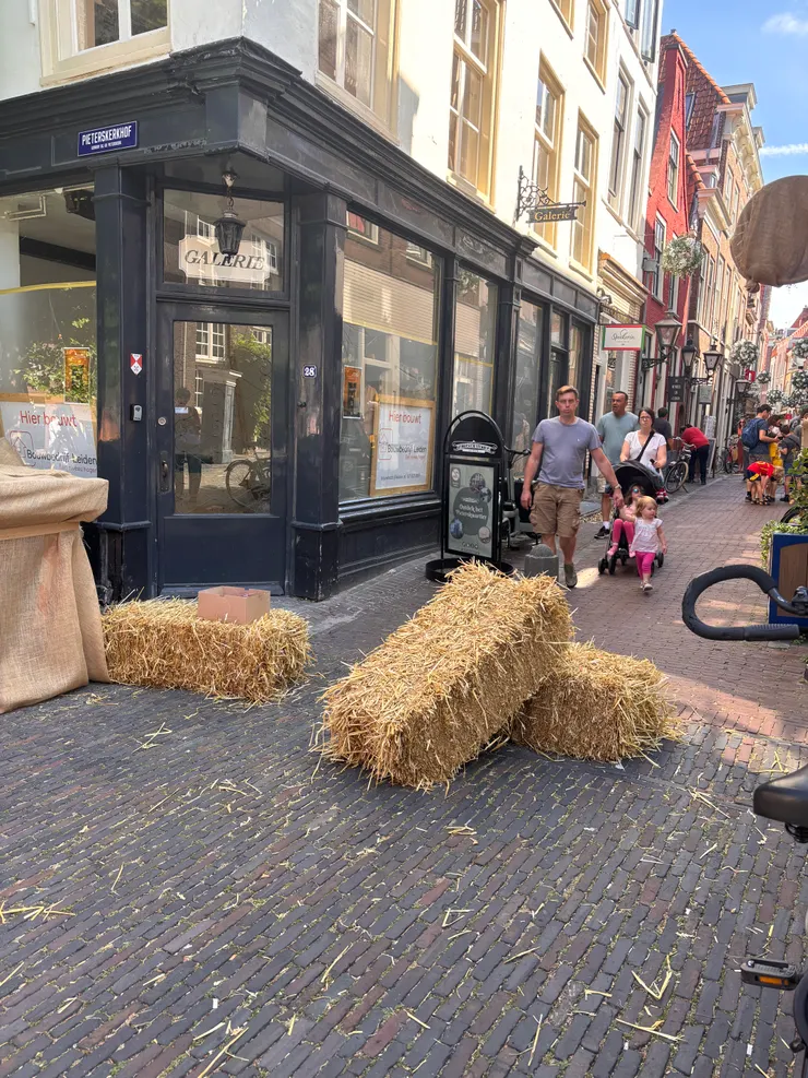 街角很多麥稈堆,跟刺客教條一樣 XD右上角可以看到被麻布袋蓋住的交通號誌