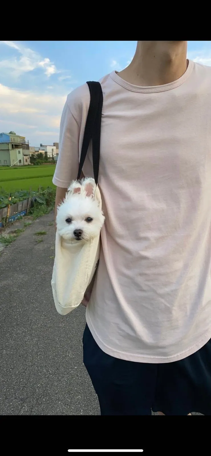 媽咪心中的烏米有點小白目,但可愛就值得被原諒(烏米媽咪提供)