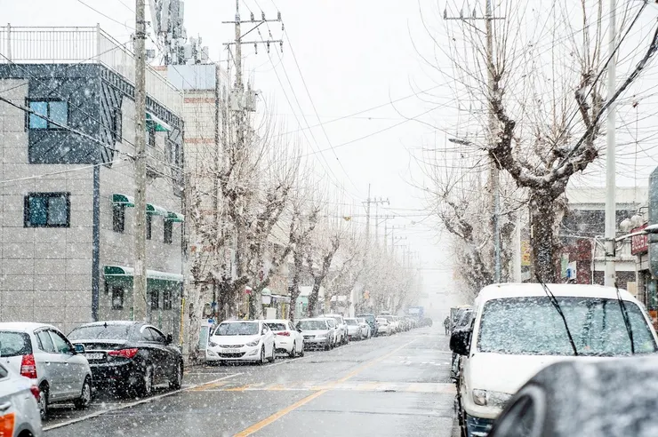 寒流 (圖片來自Pixabay)