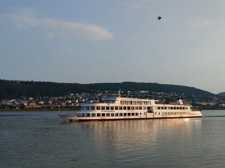 河輪通常為平底船，載客人數及艙房也較少。行駛於萊茵河的河輪，攝於德國呂德斯海姆。