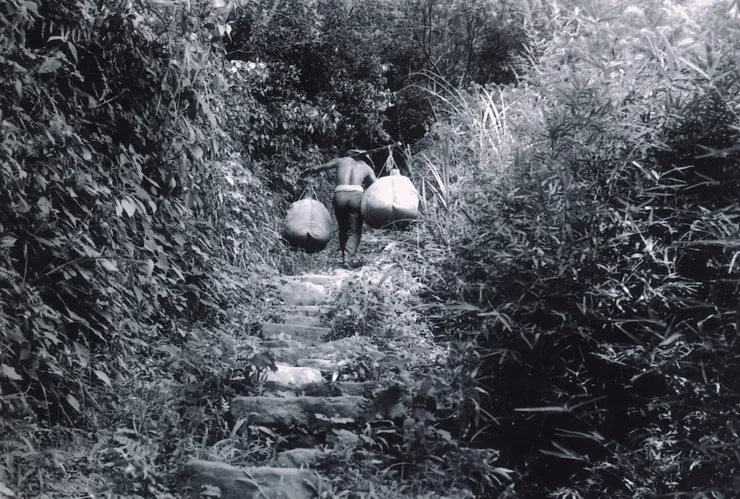 ▲ 圖片取自國家文化記憶庫