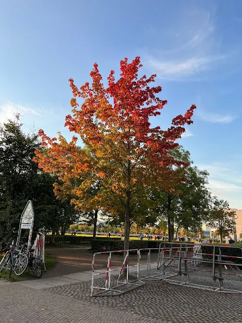 【德國旅遊】One night in Berlin - 意外的柏林快閃之旅