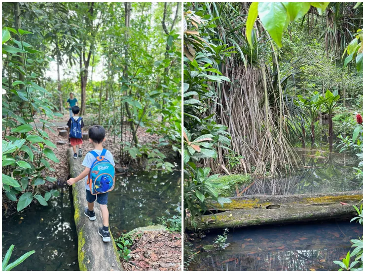 兩兄弟對於走獨木橋很有興趣