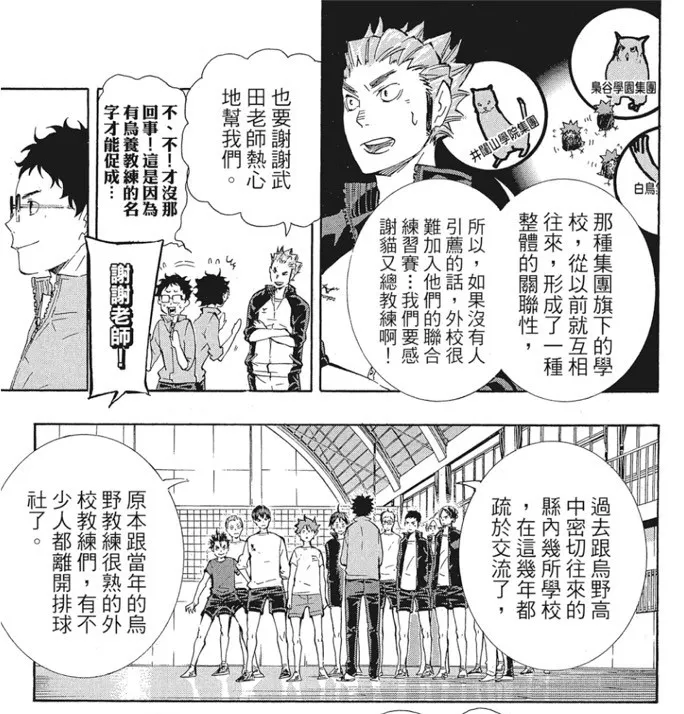 烏養教練說明集團之間的關係