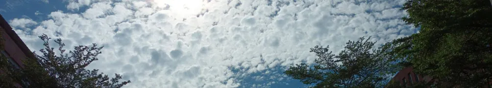 一顆小紅豆的沙龍