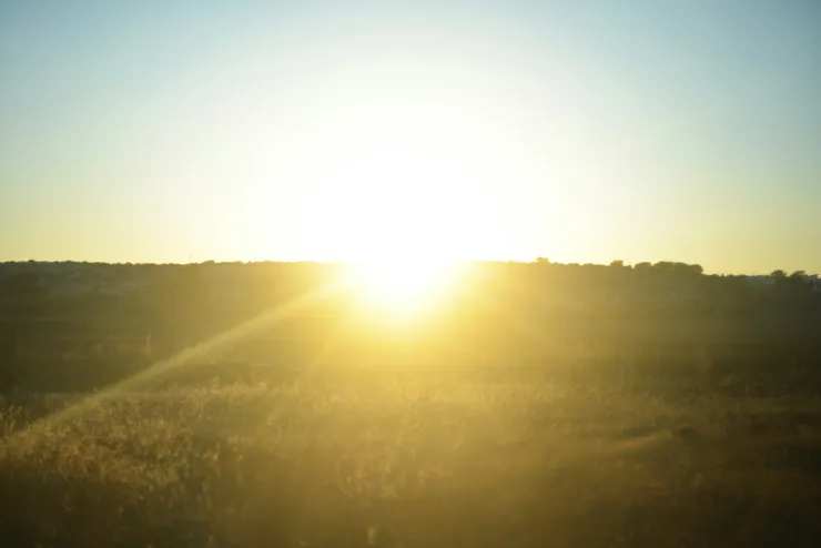 Photo by Liana S on Unsplash