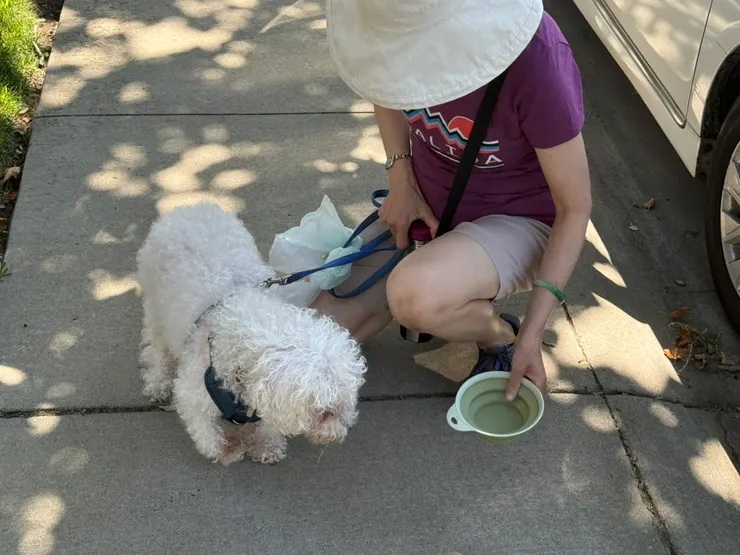 走一走可以喝個水