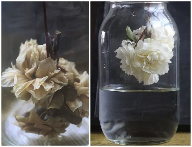 楊萬里的「懸花薰酒之法」，能薰出清冽的花香酒。只是荼蘼花一薰到酒氣，很快就變褐色了