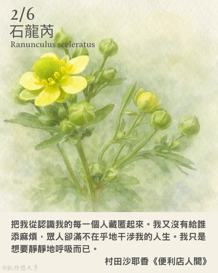 《一日一花・一句》｜2 月 6 日｜石龍芮×村田沙耶香《便利店人間》