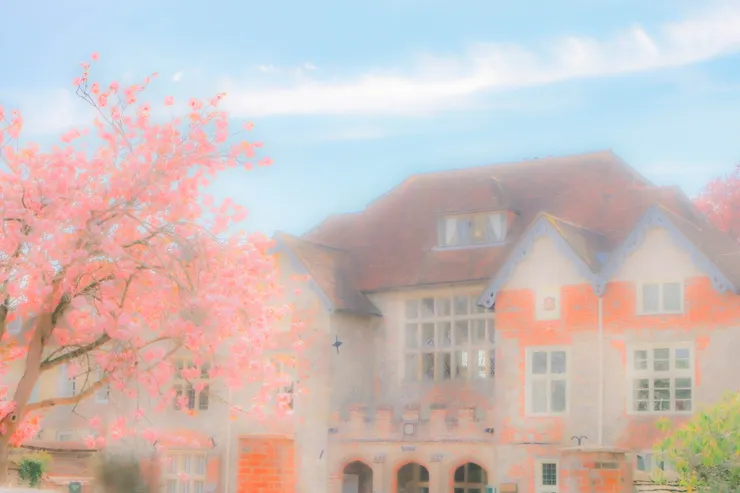 索爾茲伯里一景