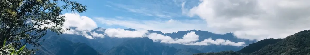 熊簡單之家的沙龍