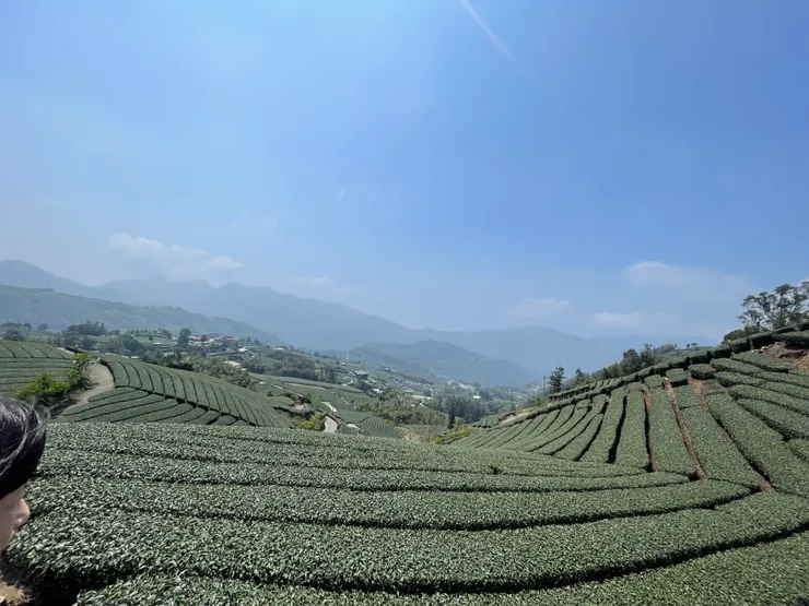 1314觀景台-御茶園廣告拍攝地