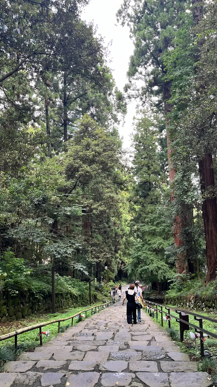 很喜歡這寧靜的氛圍。