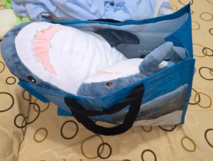 大包小包的抬上飛機