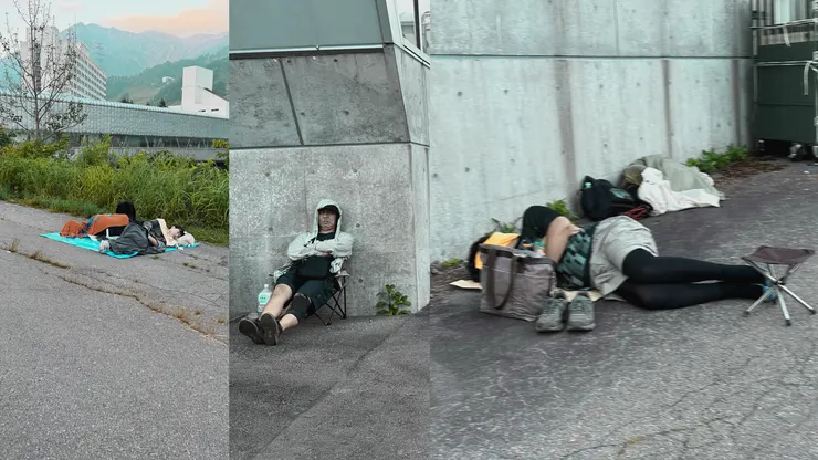 可惜沒拍到森林裡滿地都是人的盛況，但還是有路邊的啊哈