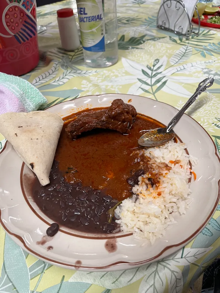 mole雞，墨西哥人日常午餐