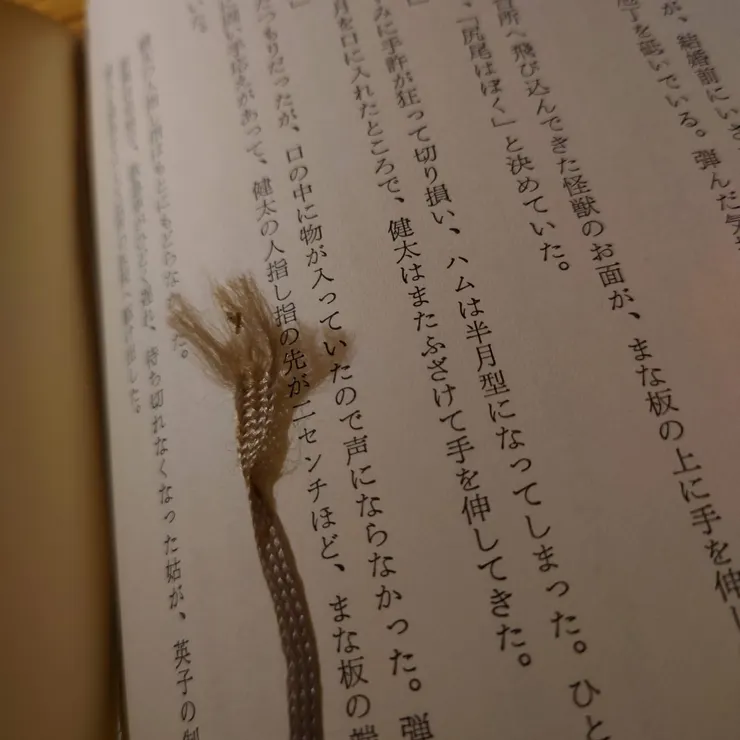 微微力透紙背的細小鉛體字，重讀起來竟然覺得讀得更懂了!