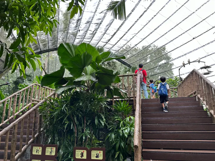 脆弱森林裡面因為很多鳥，怕他們飛出去，所以有用一個透明網子覆蓋著