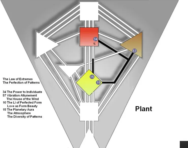 圖源：互聯網/FB群組