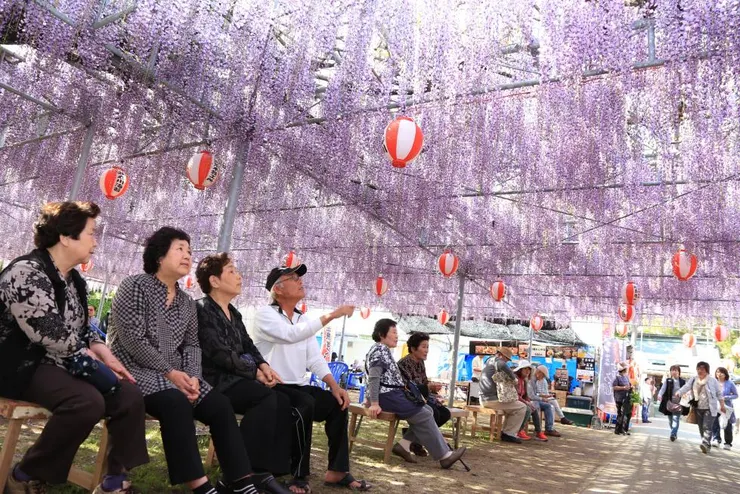 圖片來源:柳川市官網