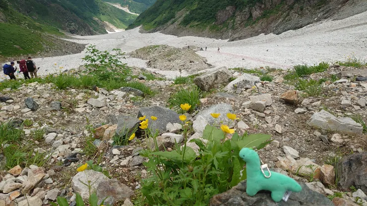 拿這隻來當比例尺只有我自己知道