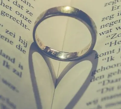 白鹿青涯Deerhapsody