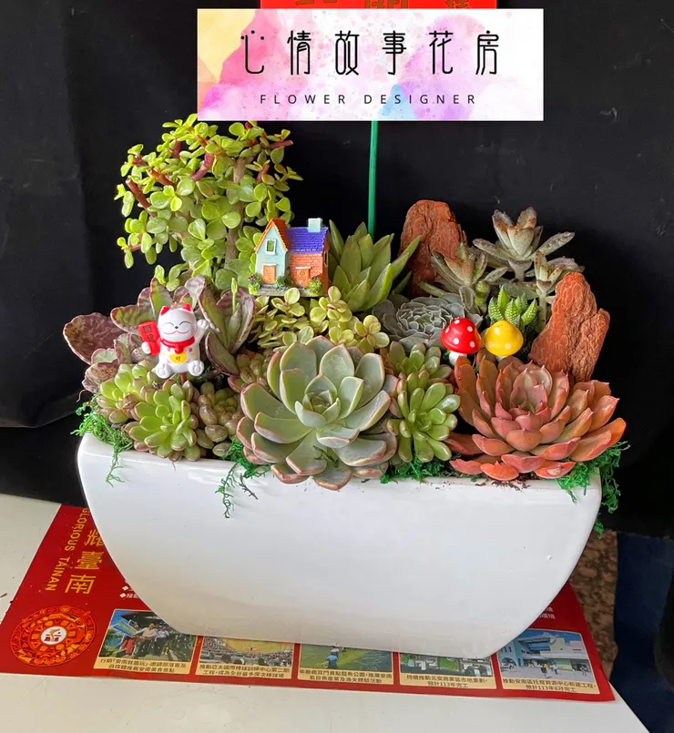 台南安南區花店【心情故事花房】：結合強健植栽的多樣化組合盆栽，為室內環境增添活力、美感與長久持續的健康生長
