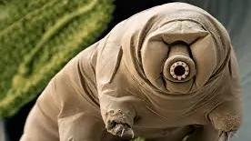 小劉的奇幻分享