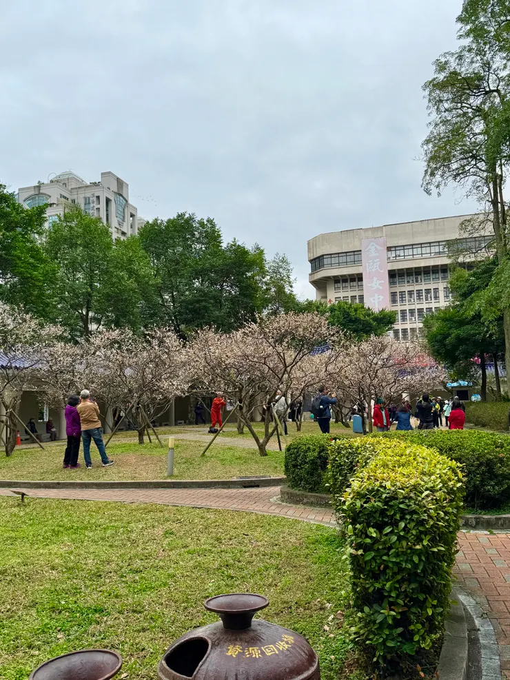 僅存這一區的白梅還盛開著，鳥兒在樹上高歌，跳來跳去。