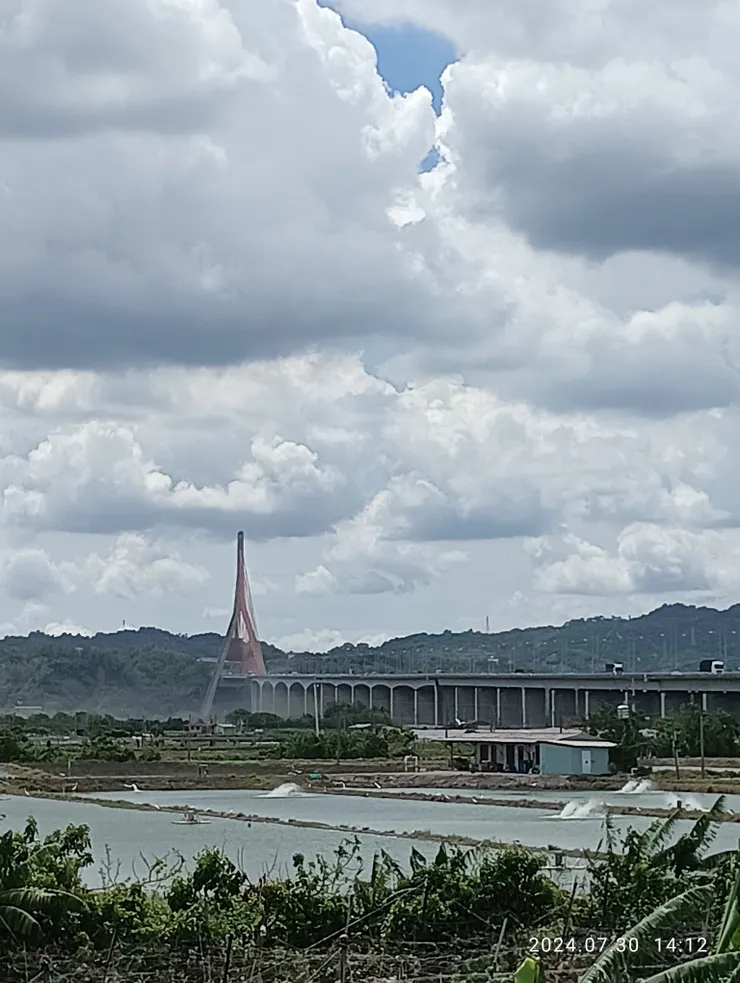 昨特驅車高屏溪上斜張橋求證是否如電視報導水災受害，幸蝦池農作未殃及，自拍攝