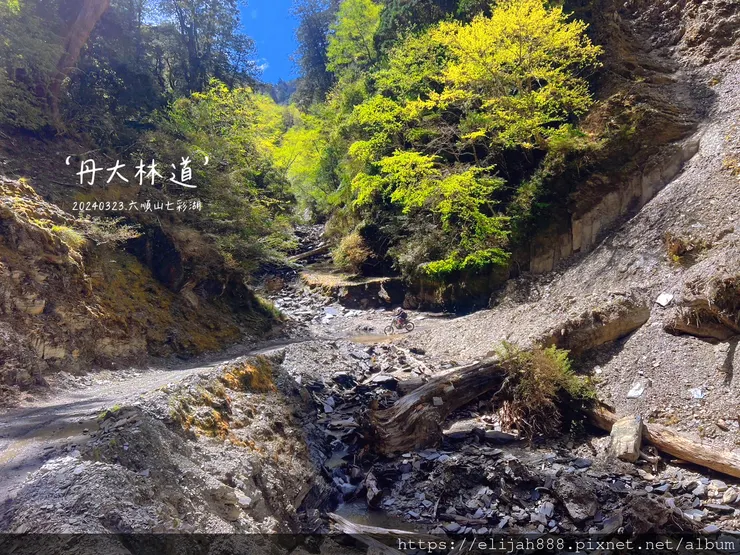 【丹大林道.六順山.七彩湖】南投縣地利村哈木山民宿/丹大林道