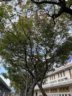 針對本文提到的二連發攻擊,周慕姿老師建議這樣回答:我知道看你可能是為我好才這樣說,但你這樣說我反而會很重傷,對我一點幫助也沒有。是不是可以請你以後不要再這樣說了?