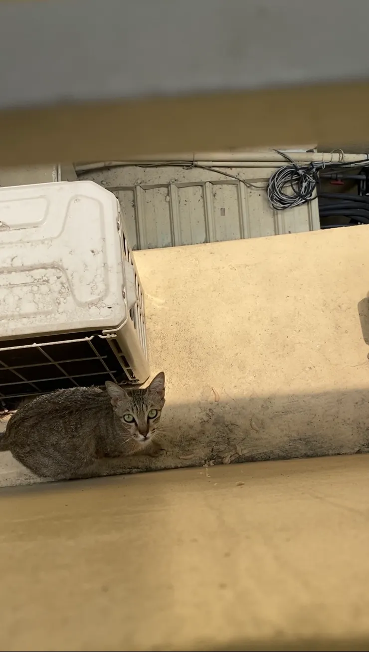 看我幹嘛啦！看你的肉泥😋