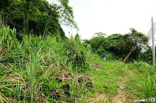 麥帥公路進入地塹