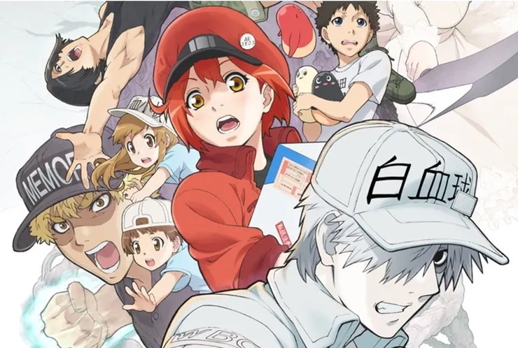 來源:David Production 動畫《工作細胞》