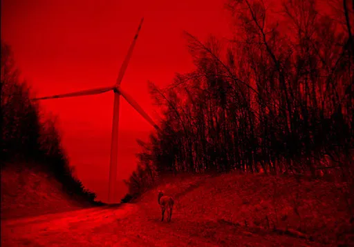 紅墨水一樣的世界，好像阻隔了所有的聲音。