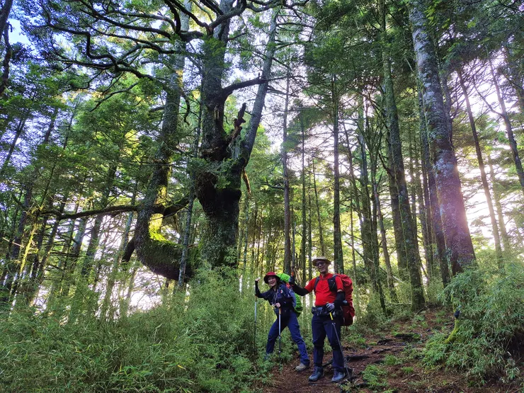 ▲切至最低鞍部再爬上審馬陣草原。