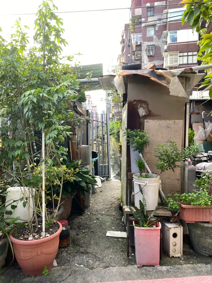 走進鐵皮屋之間的縫隙,驚見古老水圳