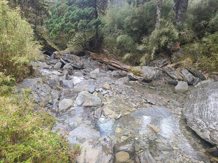 走到南湖溪了,山屋被箭竹擋住,抓方向切到山屋過去
