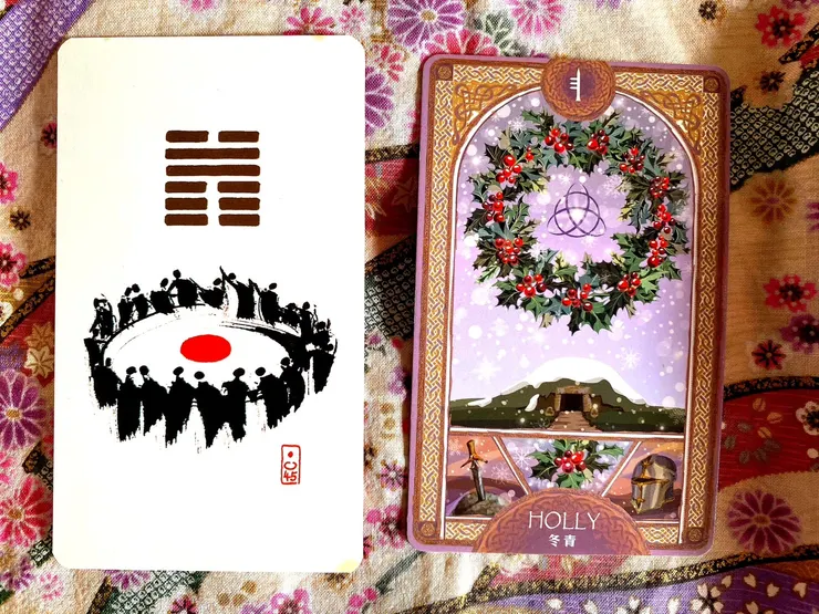 右邊：冬青正位；左邊：易經45掛澤地萃