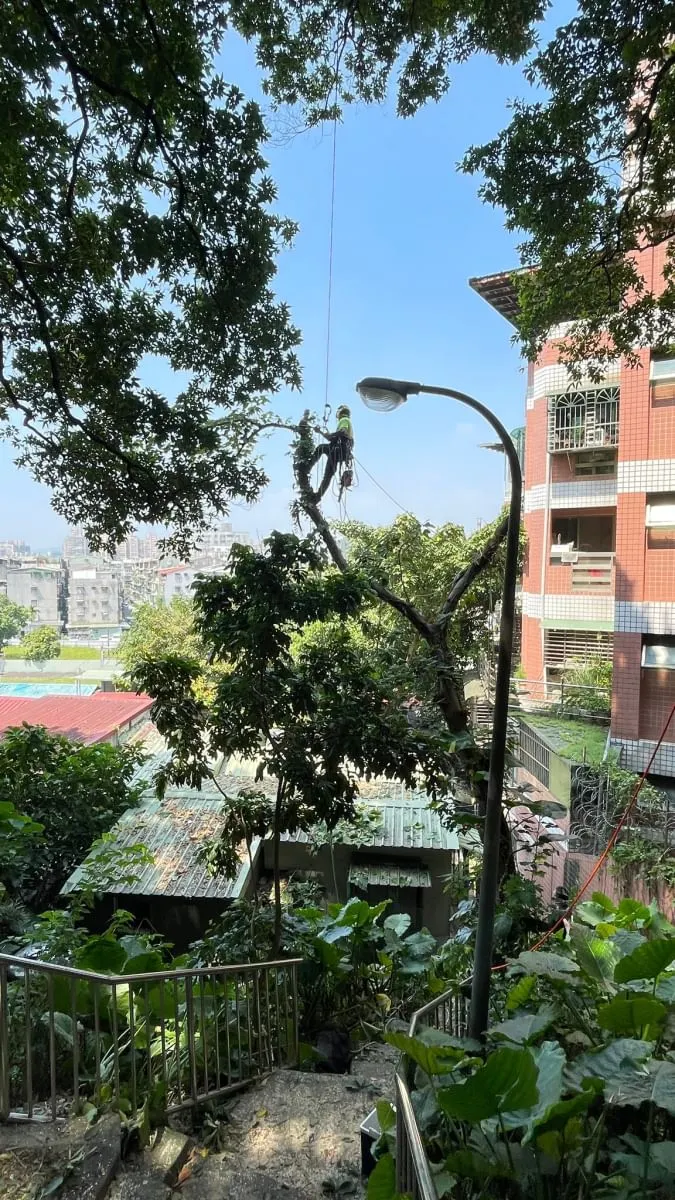 好在有高點才好工作