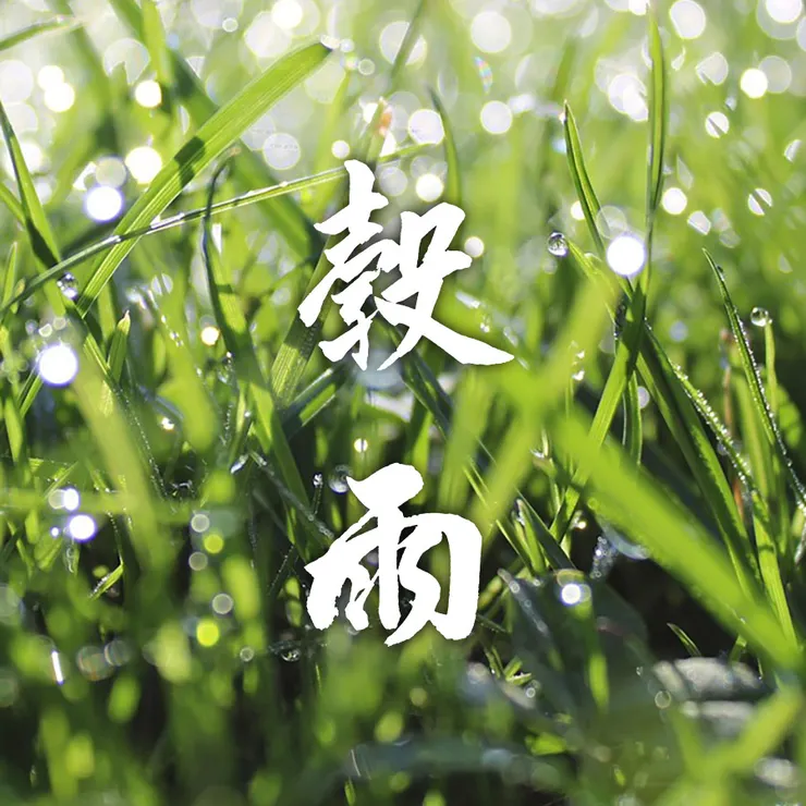 【節氣：穀雨】