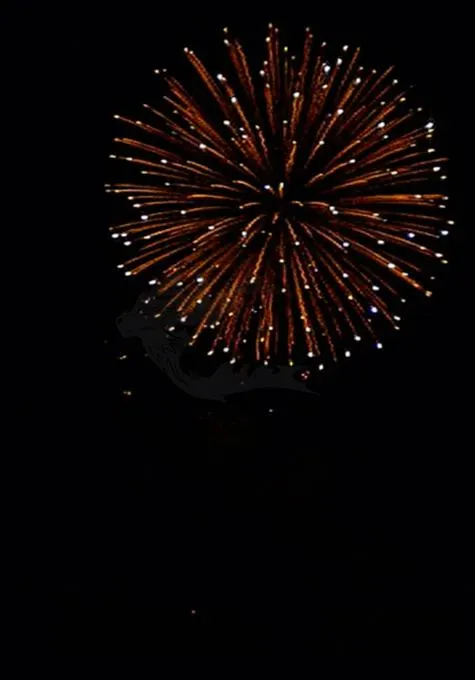 回飯店後拍的煙火秀