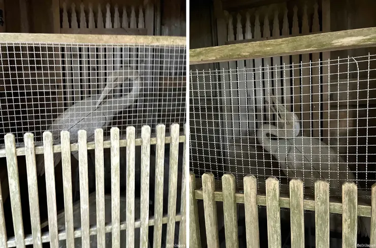 以「鶴」現形的任王守護神，也有張嘴與閉著嘴的表現